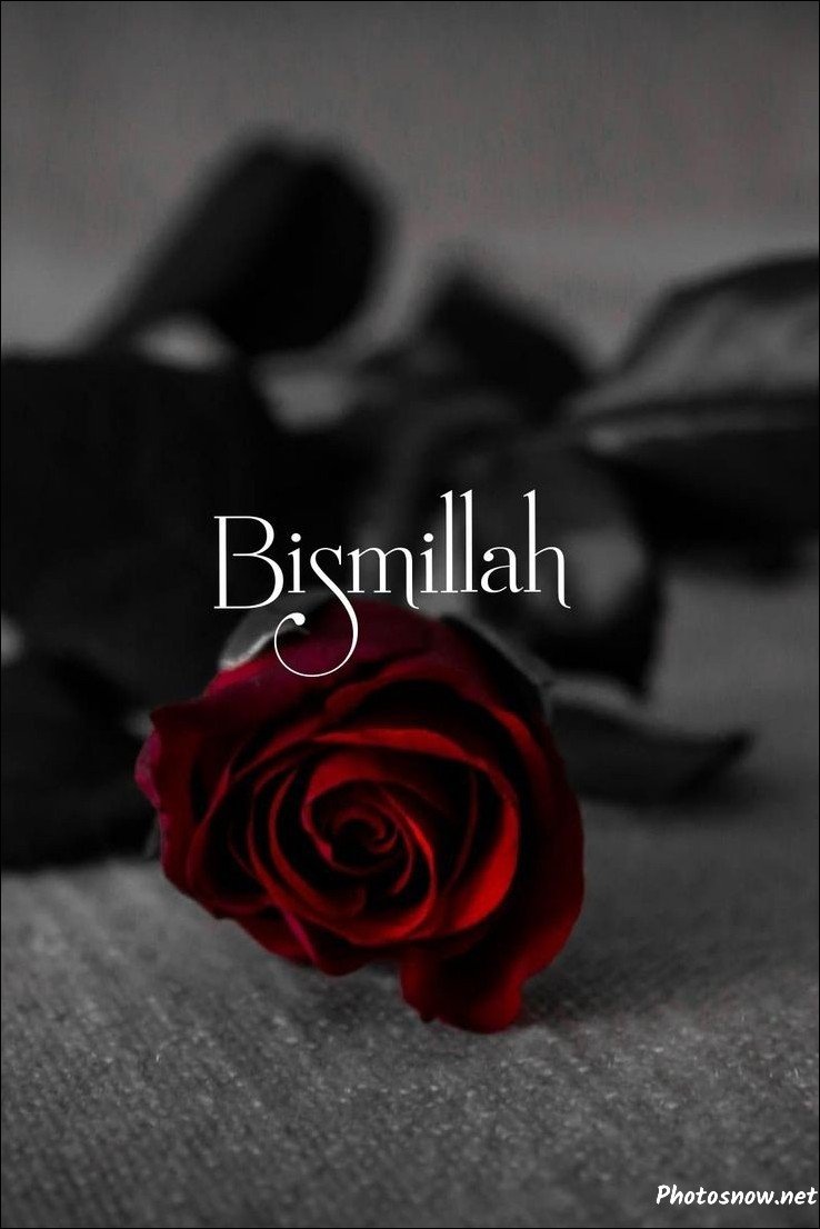 allah-islamic-dp allah-islamic-dp