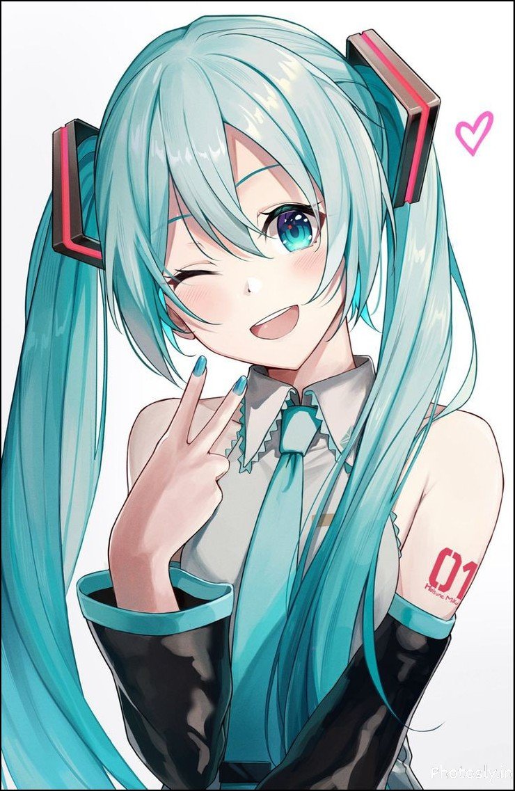 anime-dp anime-dp