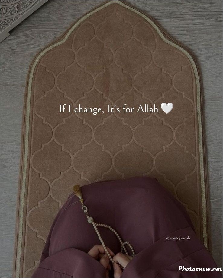 best-islamic-dp best-islamic-dp