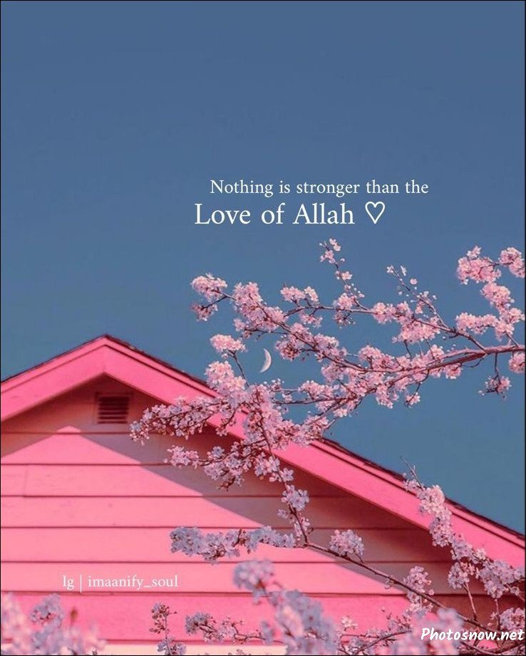 best-islamic-dp best-islamic-dp