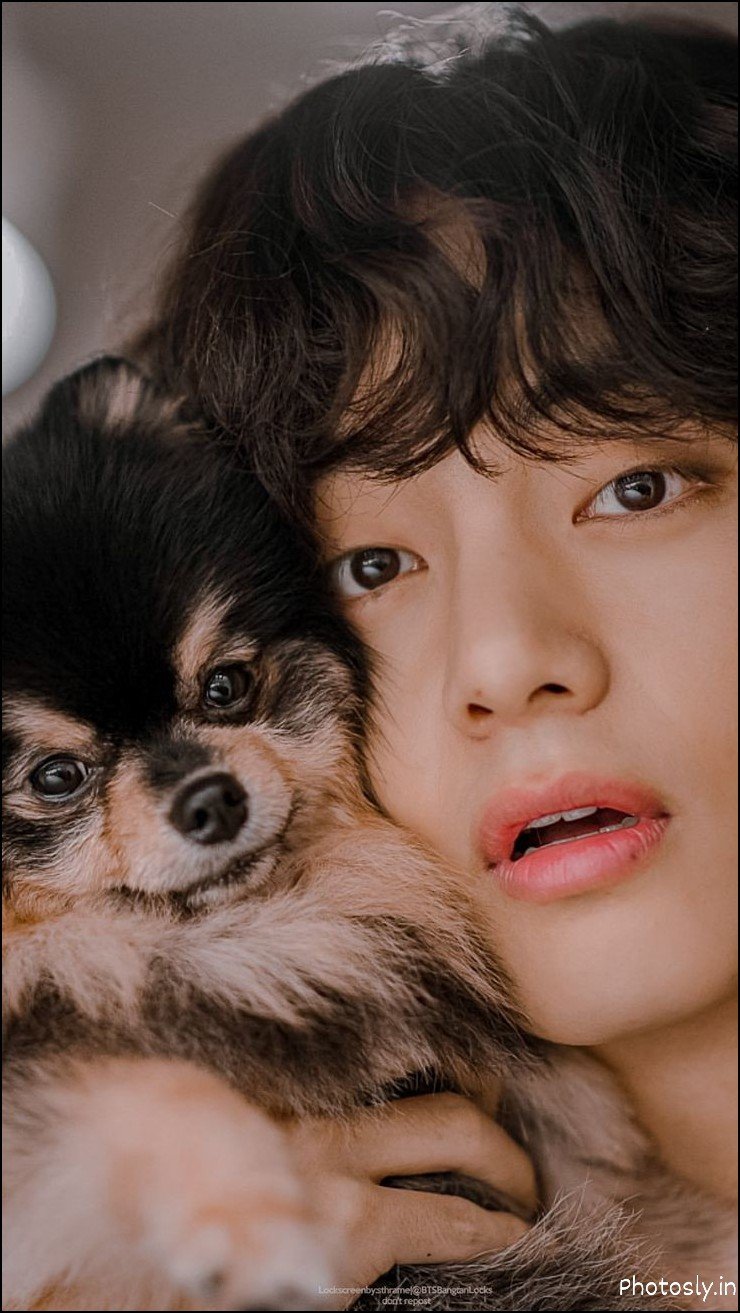 bts-dp bts-dp