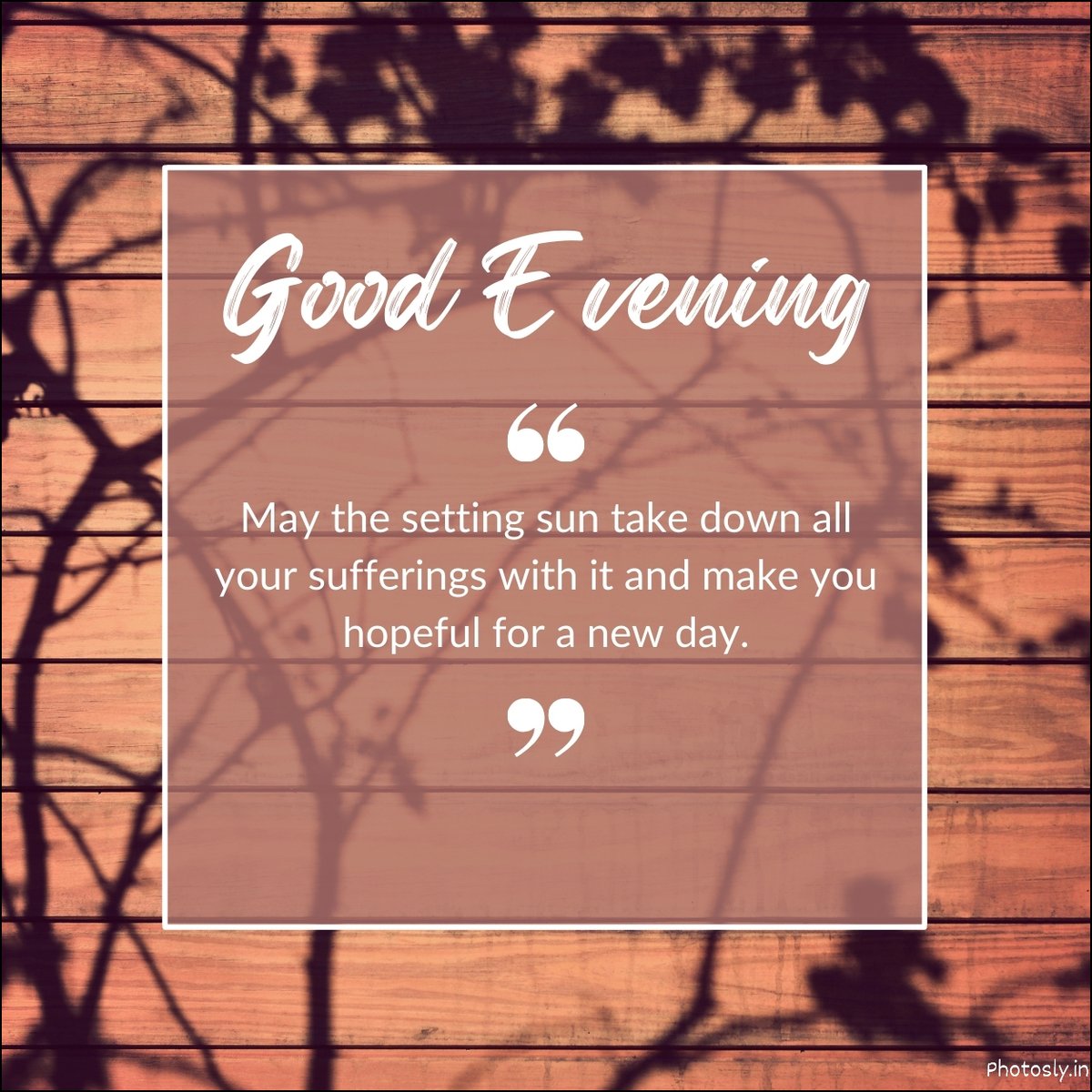 Night Images and Pictures