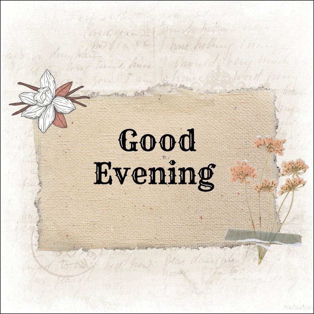 good-evening-images
