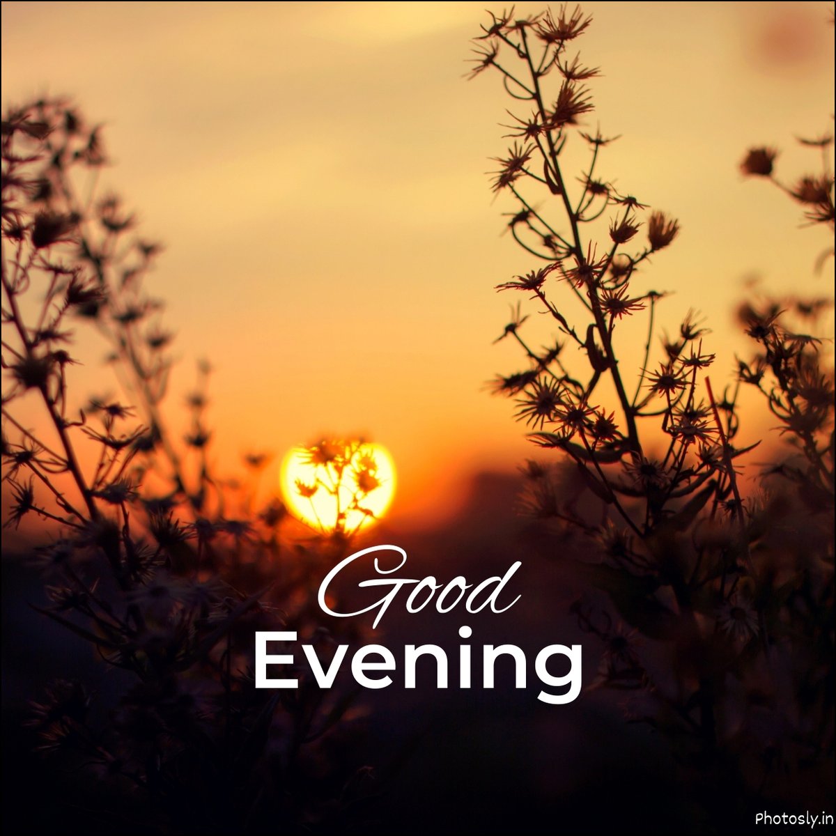 good-evening-images
