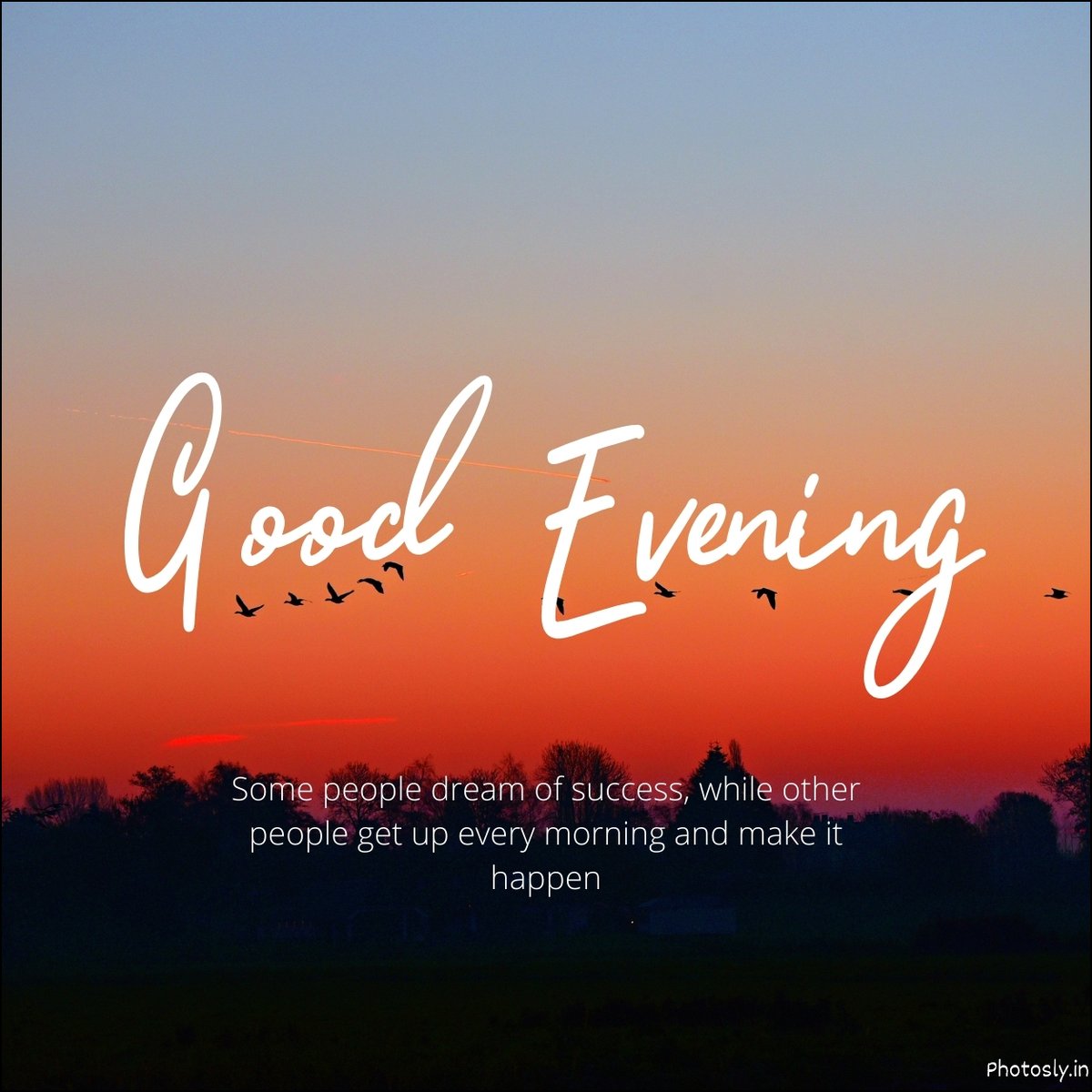 Night Images and Pictures