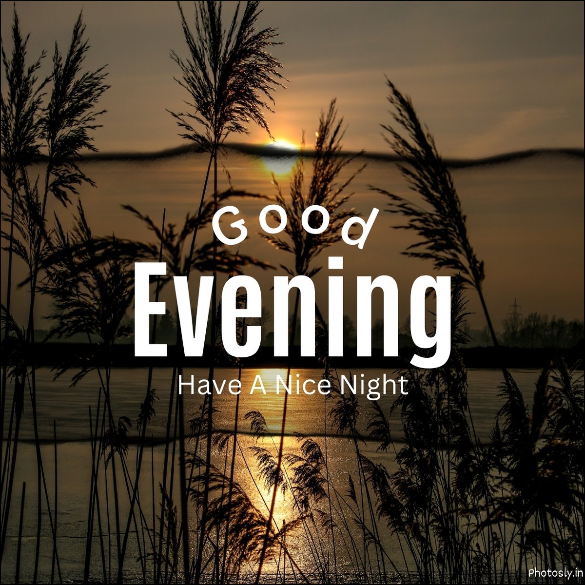 good-evening-images
