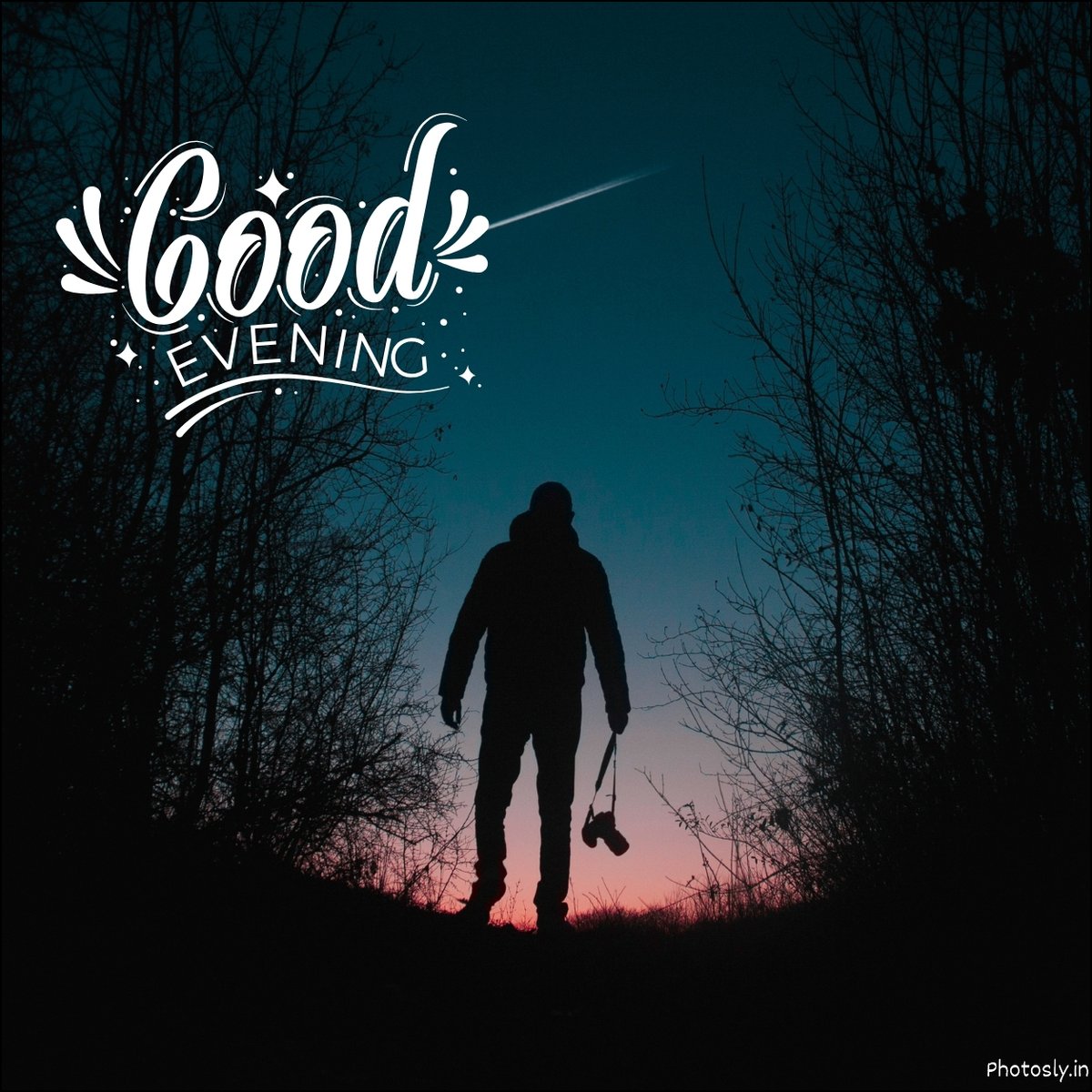 Night Images and Pictures