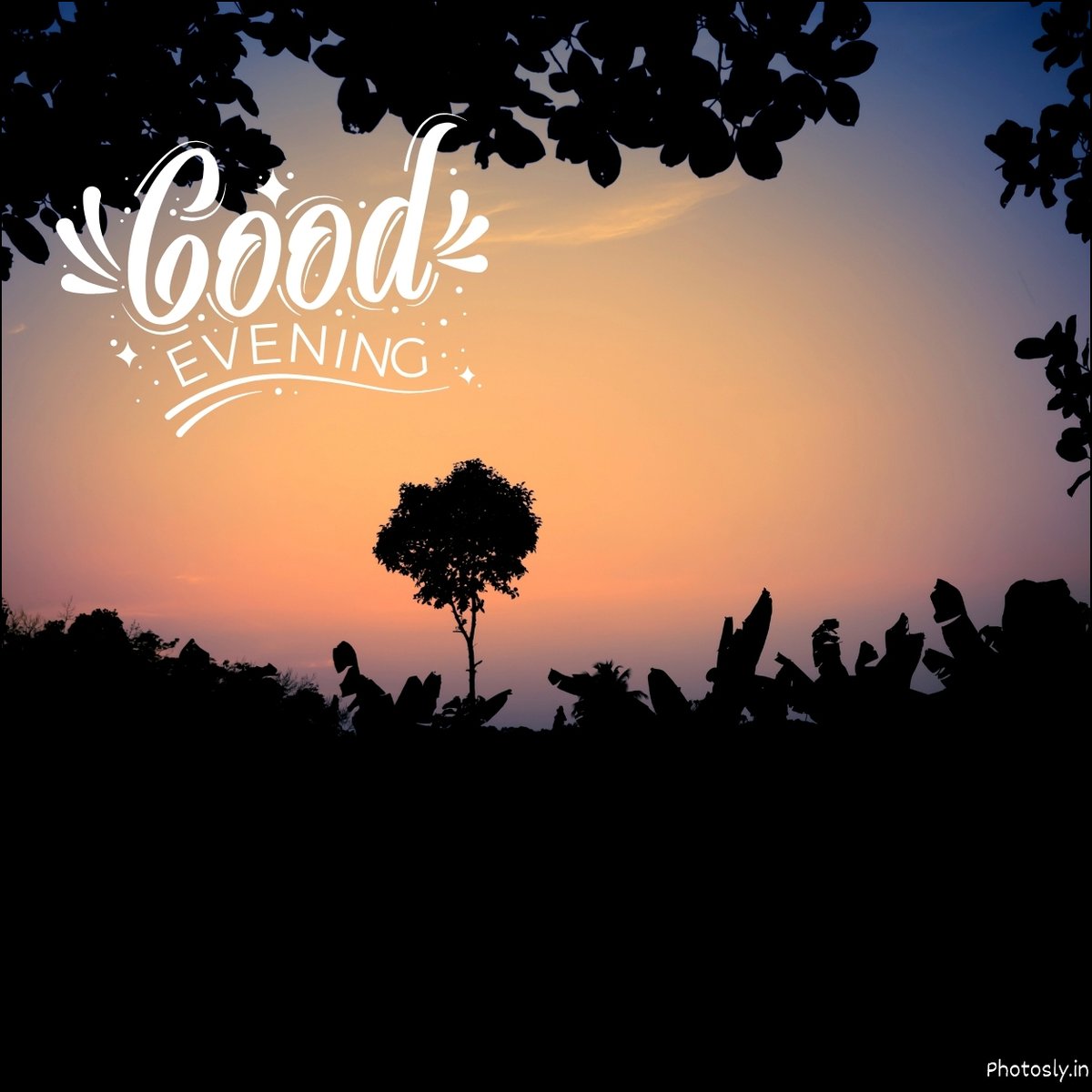 Night Images and Pictures