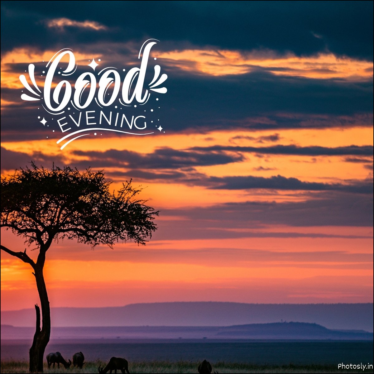 good-evening-images