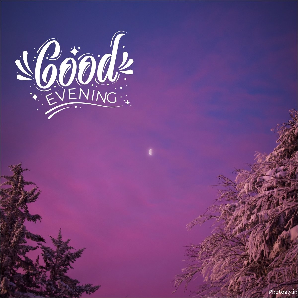 Good Evening Love Images and Pictures