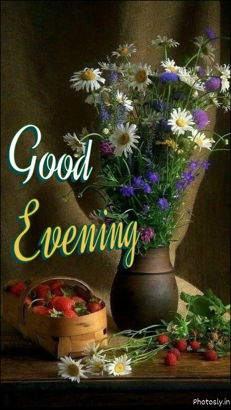 Sweet Good Evening Pictures