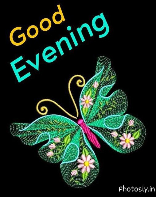 Sweet Good Evening Pictures