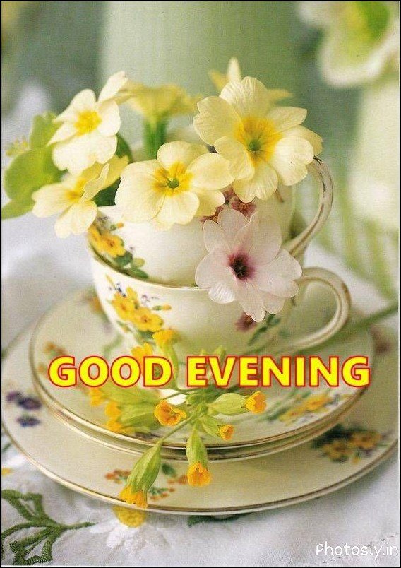Sweet Good Evening Pictures