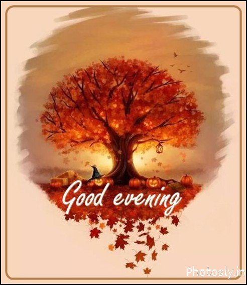 Sweet Good Evening Pictures