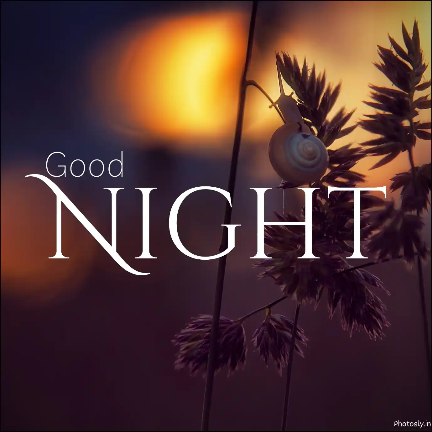 good-night-images