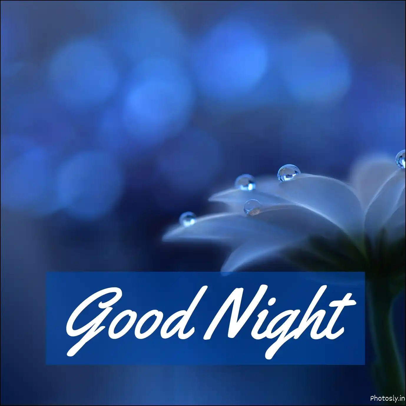 Sweet Dreams Lovely Images 