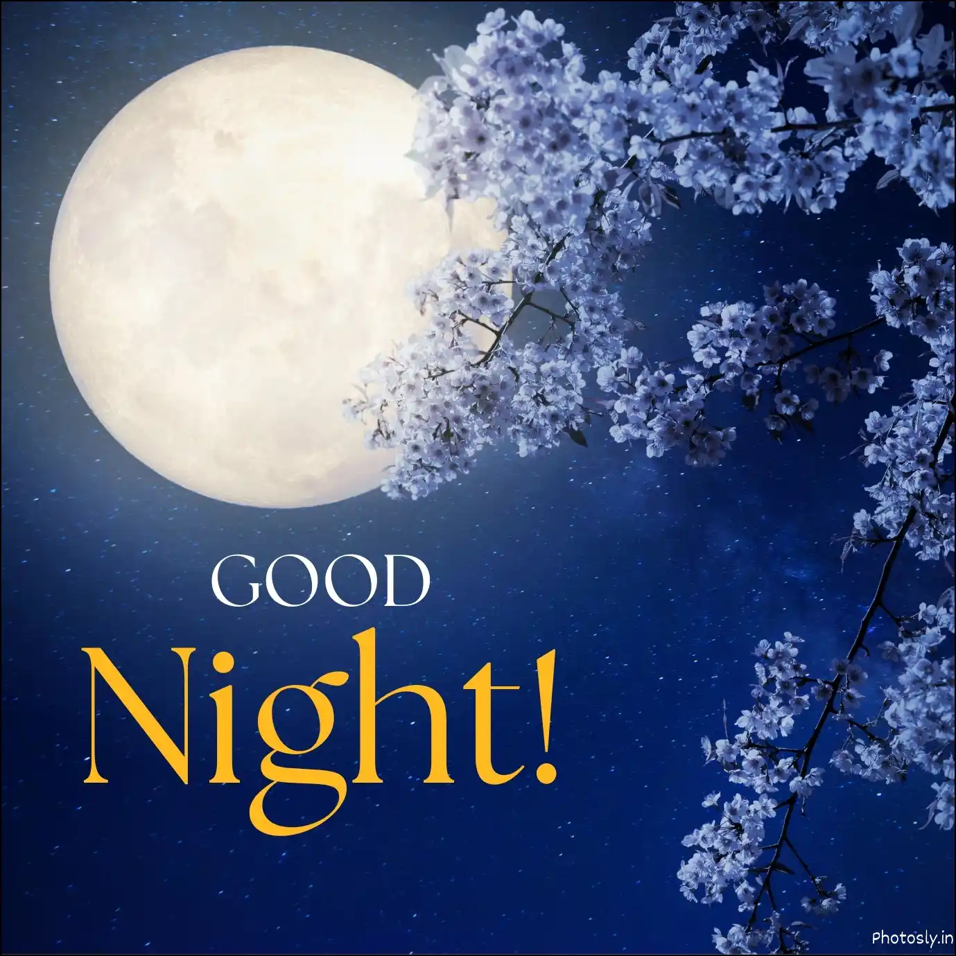 Sweet Dreams Lovely Images 