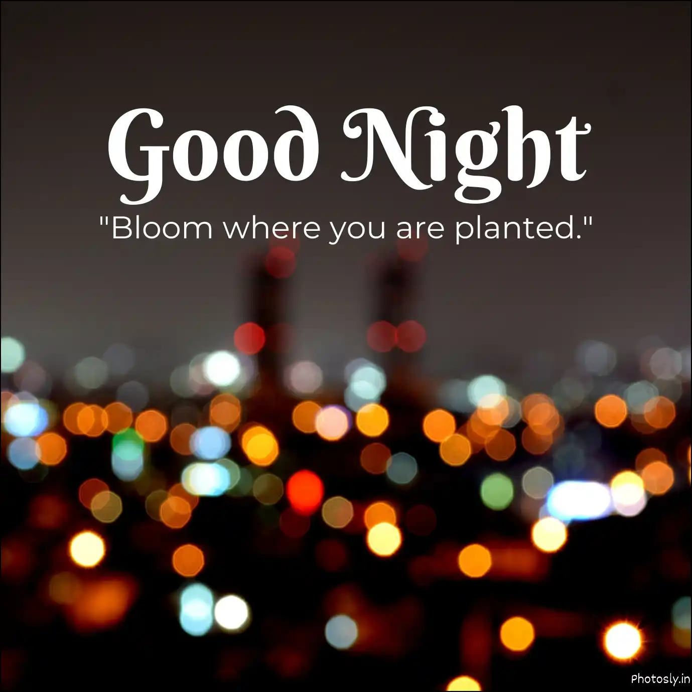 Sweet Dreams Lovely pictures