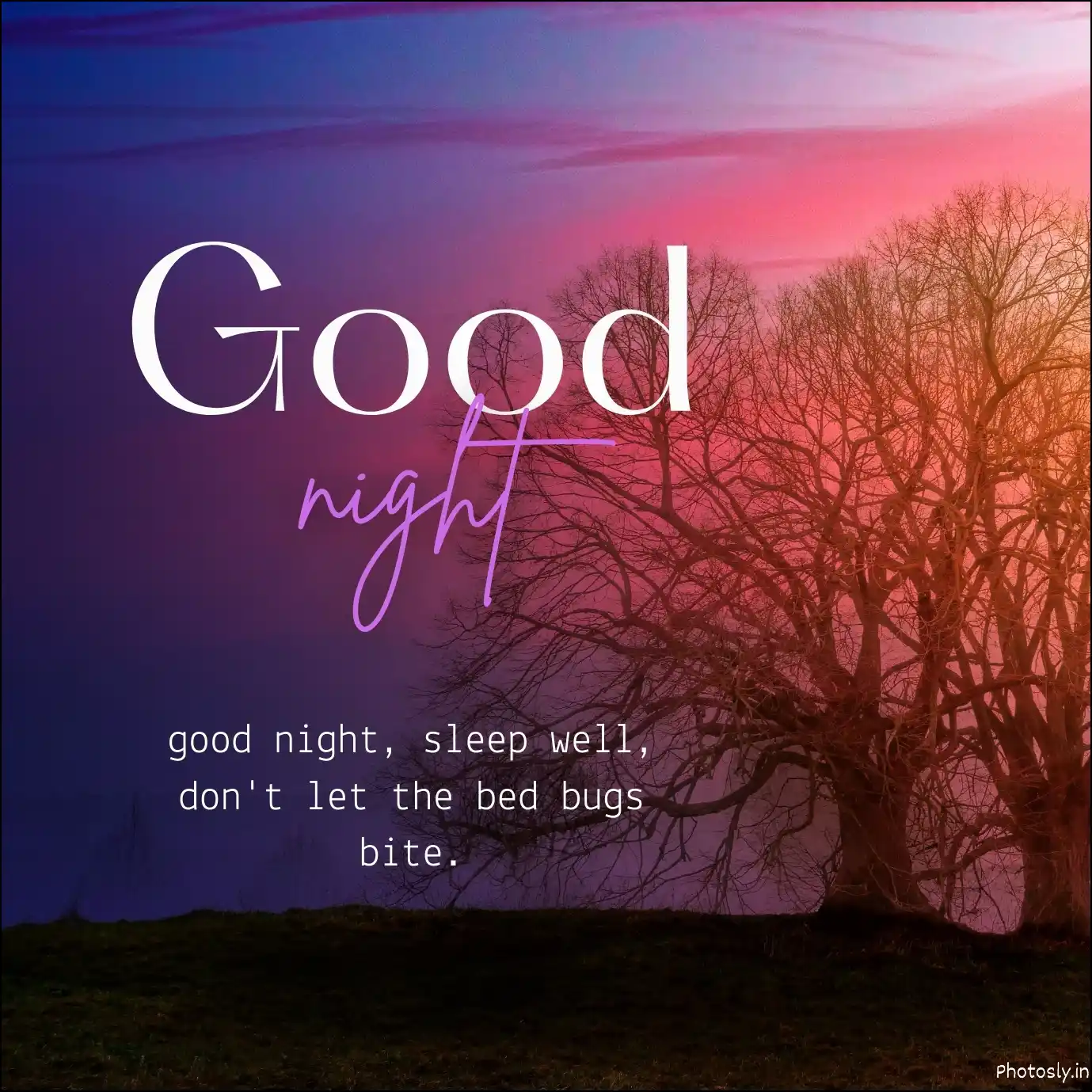 good-night-images