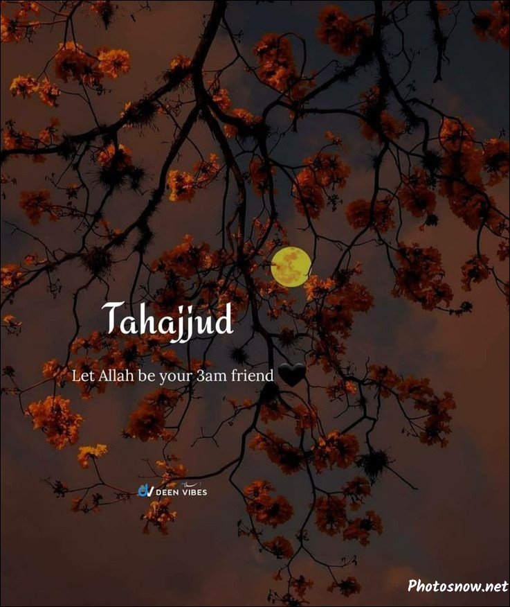 instagram-islamic-dp instagram-islamic-dp