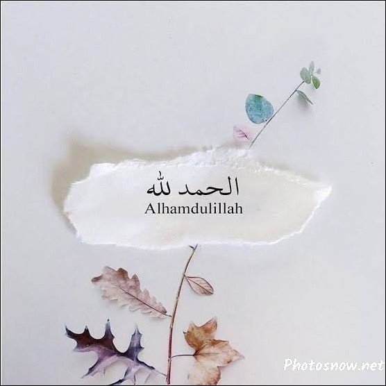 islamic-dp-new islamic-dp-new