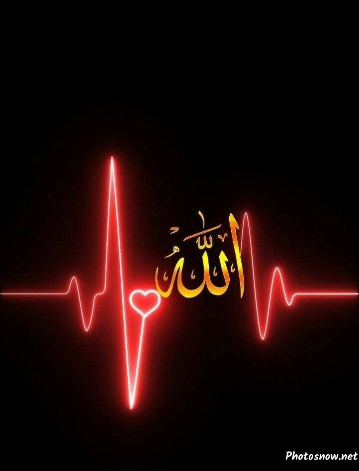 islamic-dp-new islamic-dp-new