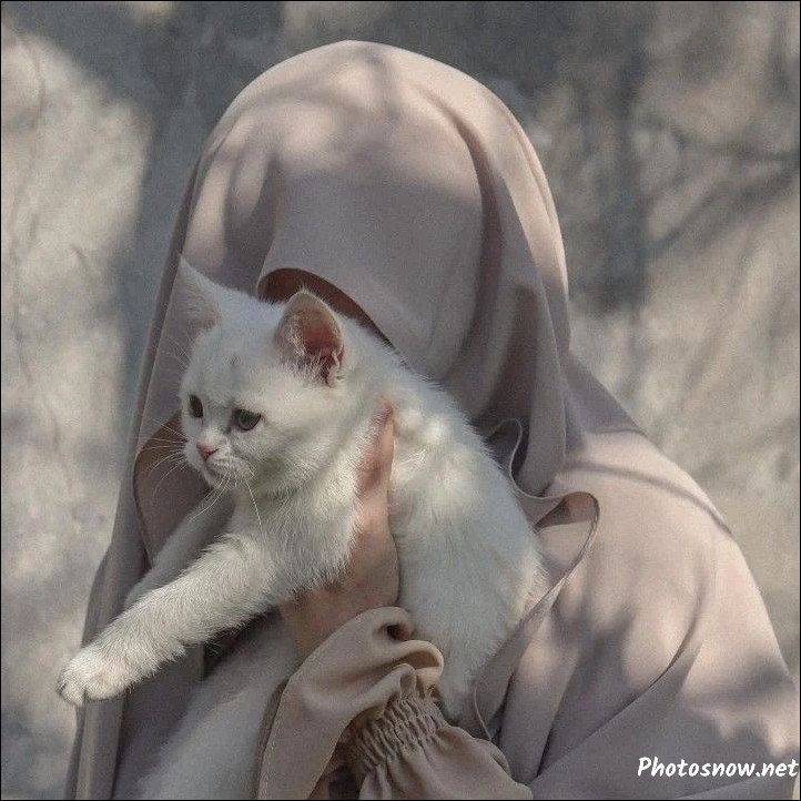islamic-dp islamic-dp
