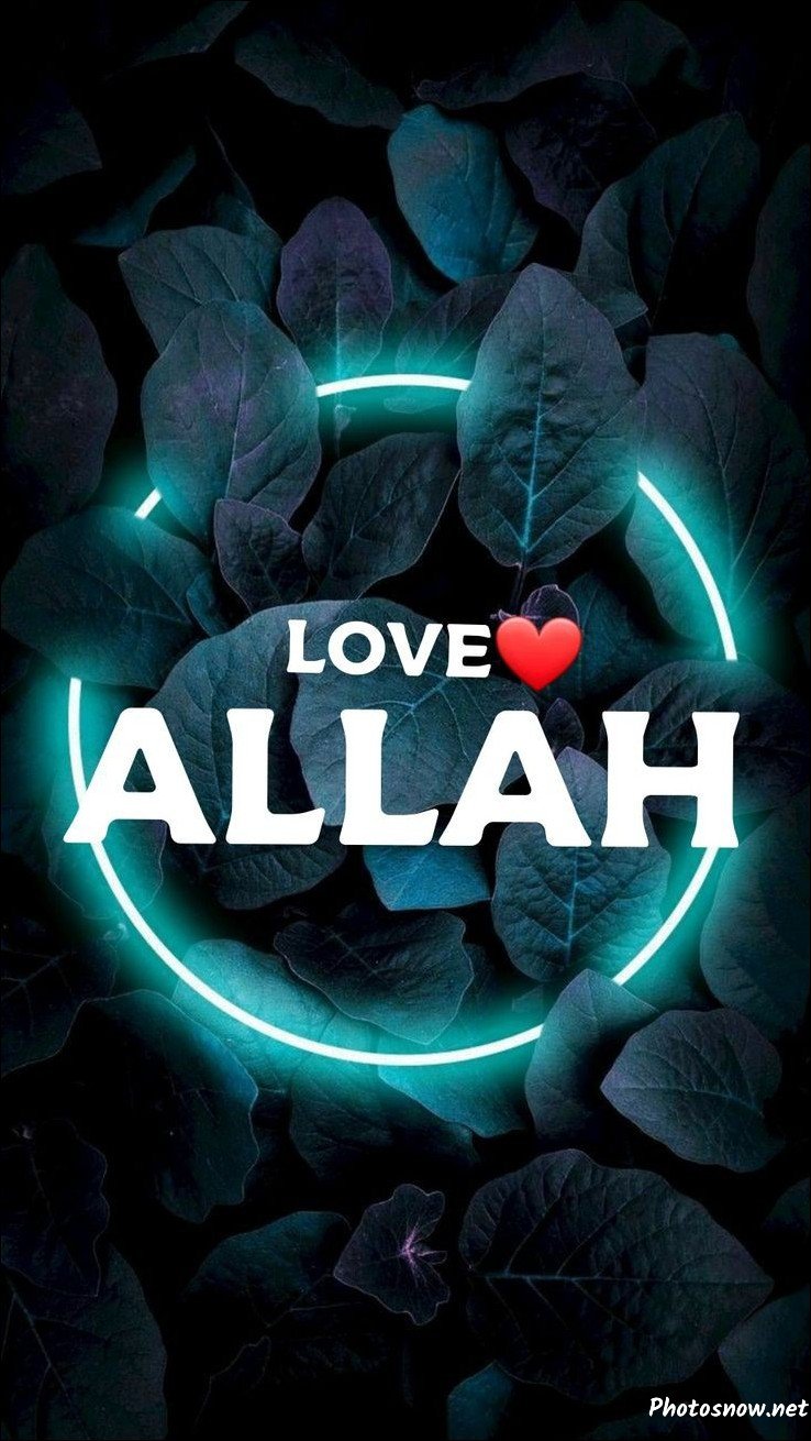 islamic-dp islamic-dp