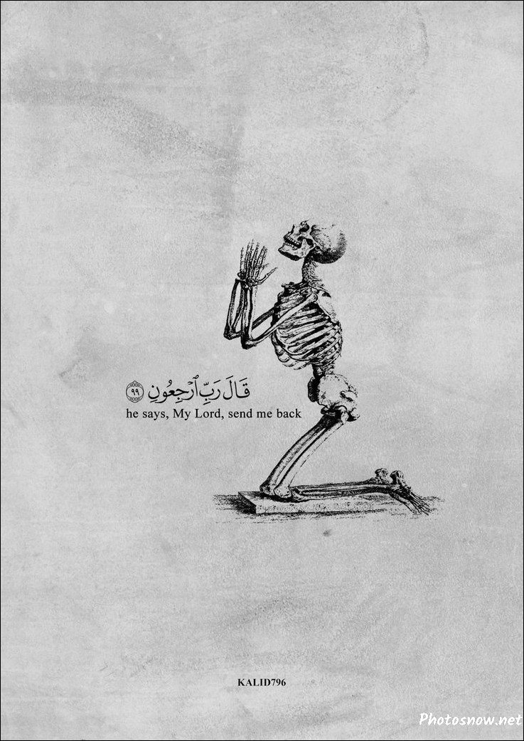 islamic-dp islamic-dp