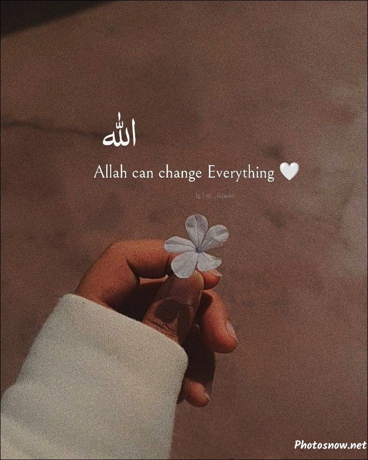 profile-islamic-dp profile-islamic-dp