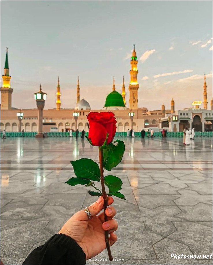 profile-islamic-dp profile-islamic-dp