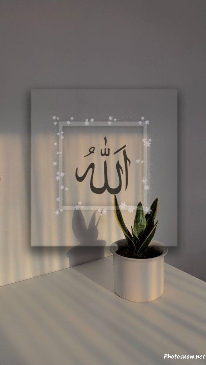 profile-islamic-dp profile-islamic-dp
