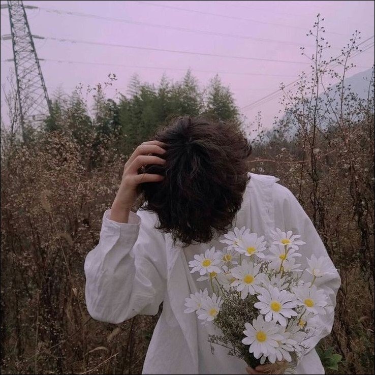 Aesthetic-Dp-for-girls