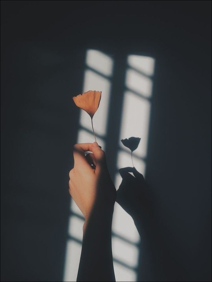 Aesthetic-Dp-for-girls