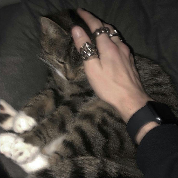 Aesthetic-Dp-for-instagram