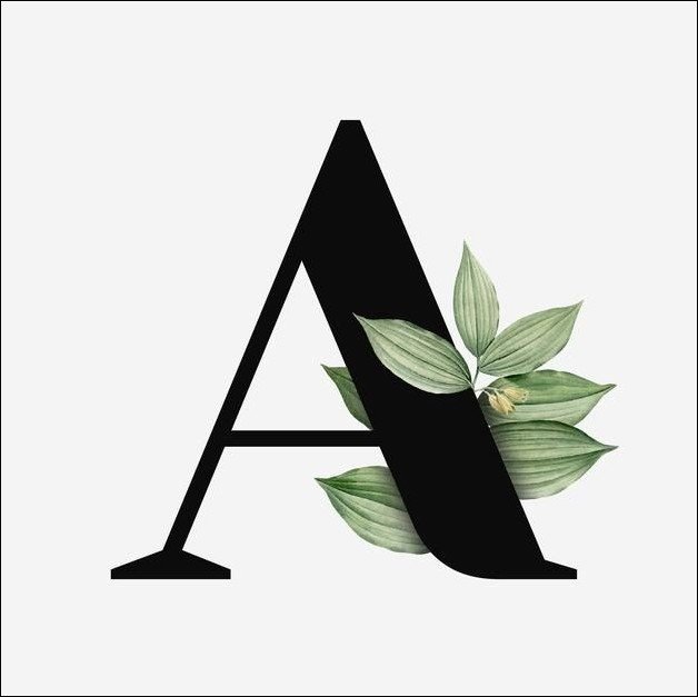 a-name-dp a-name-dp
