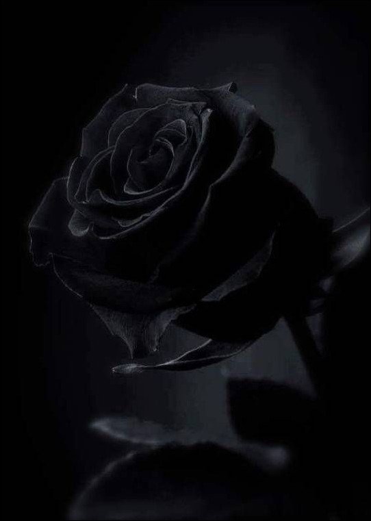 black-dp-for-whatsapp