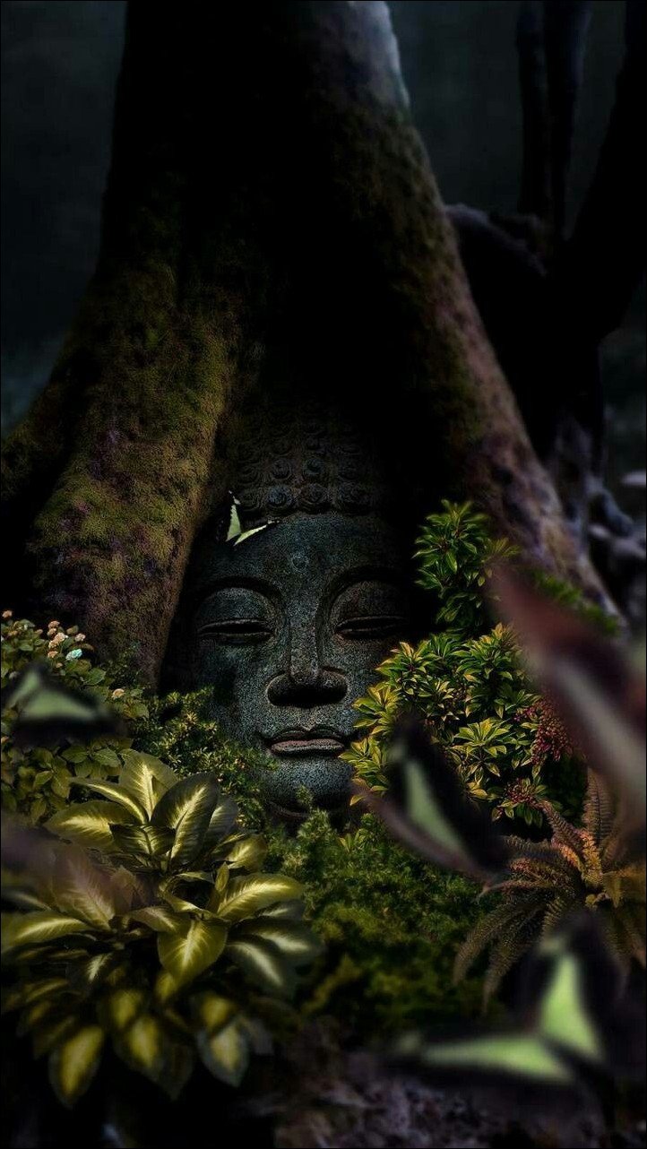 buddha-wallpaper-hd