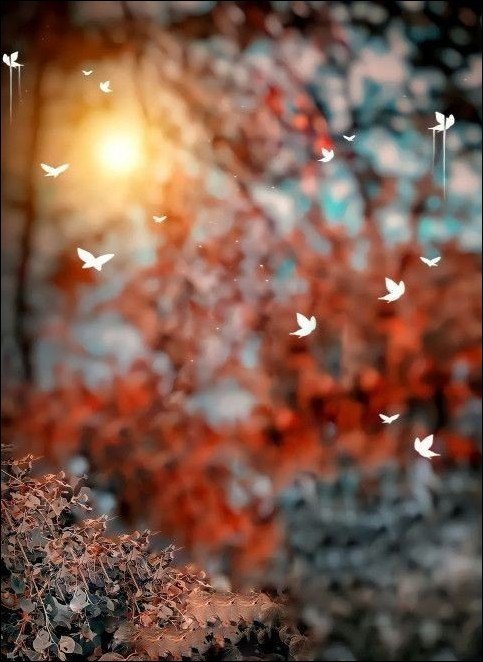 cb-background-hd cb-background-hd