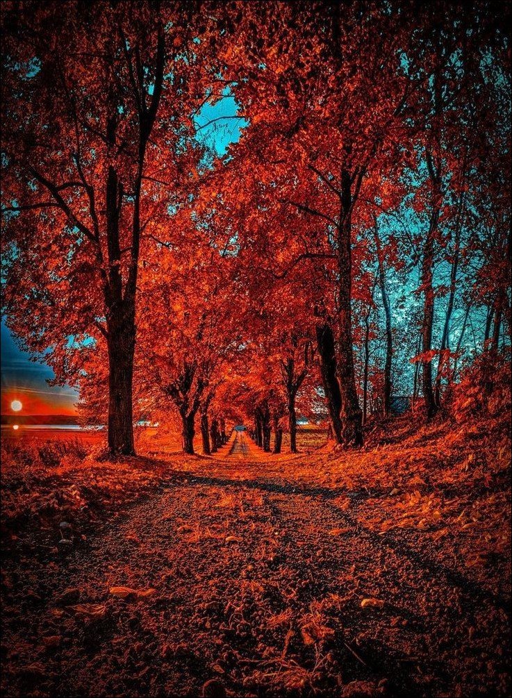 cb-background-hd cb-background-hd