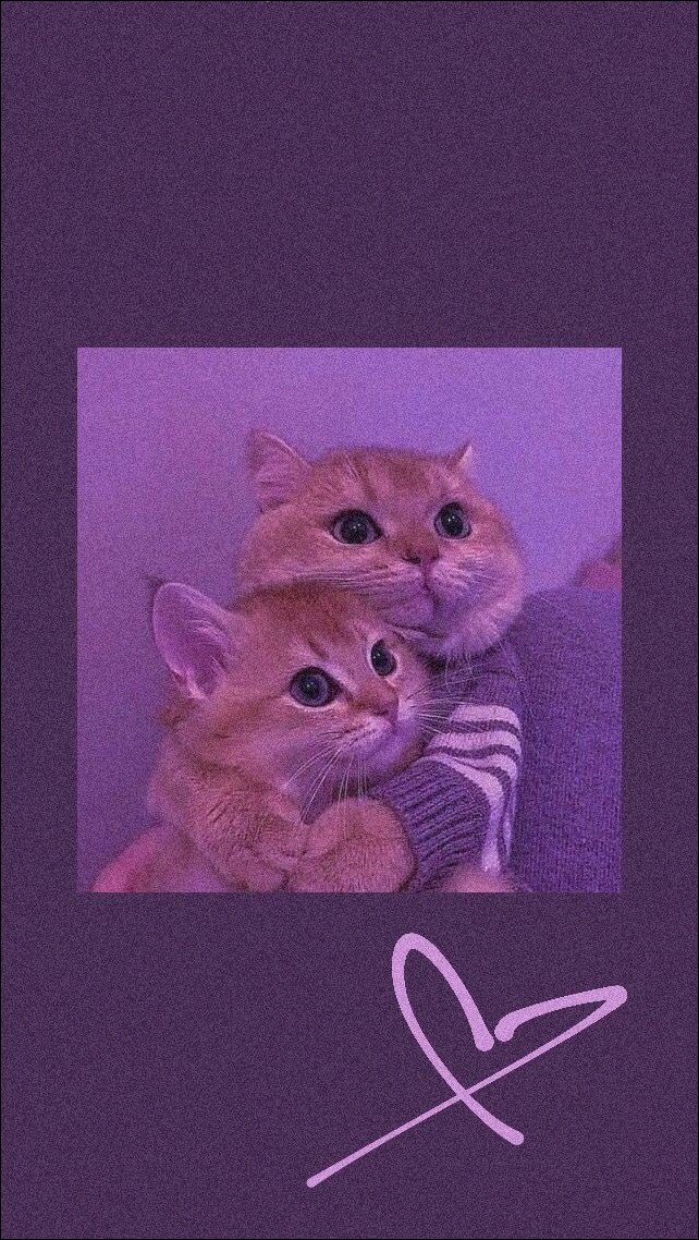 cute-dp-for-instagram