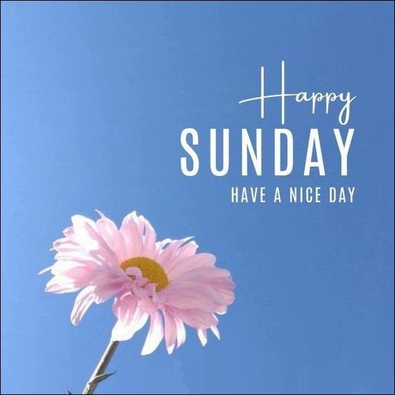 happy sunday images for whatsapp happy sunday images for whatsapp