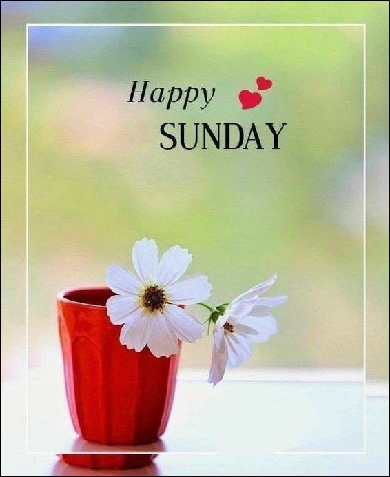 happy-sunday-images-hd happy-sunday-images-hd