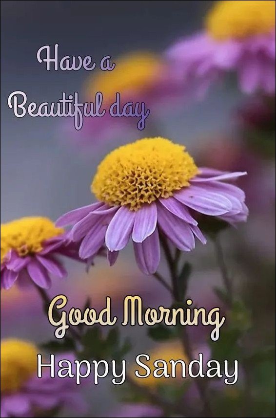 happy-sunday-images happy-sunday-images