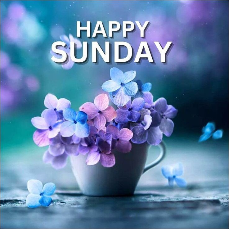 happy-sunday-images happy-sunday-images