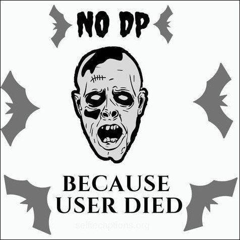 no-dp