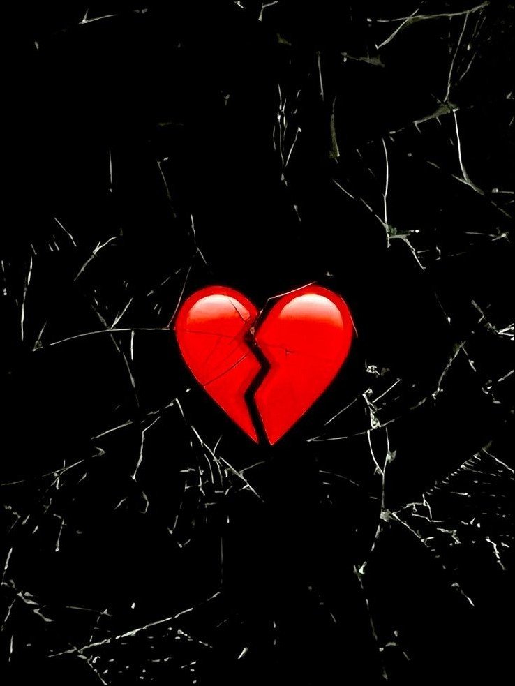 no-love-dp no-love-dp