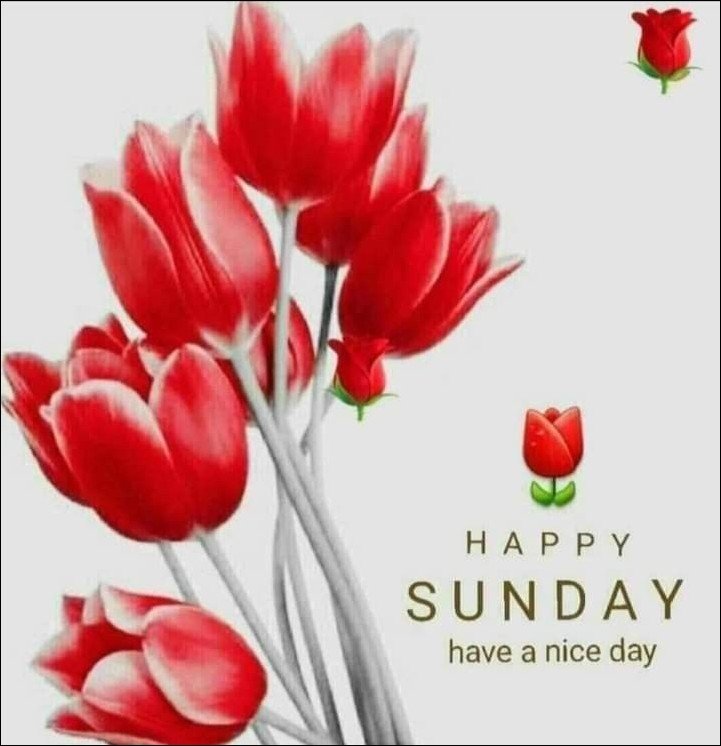 quote-happy-sunday-images quote-happy-sunday-images