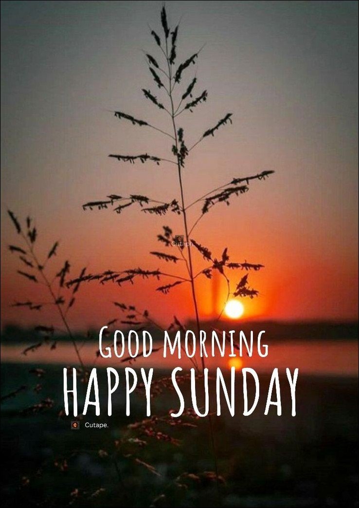 quote-happy-sunday-images quote-happy-sunday-images