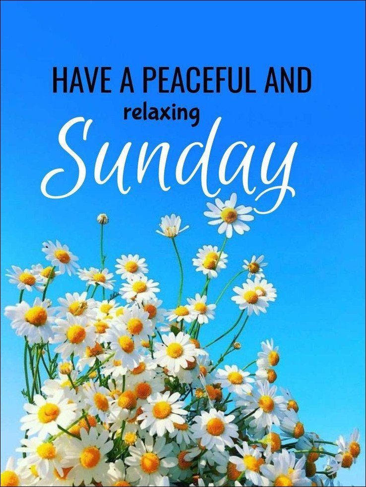 quote-happy-sunday-images quote-happy-sunday-images